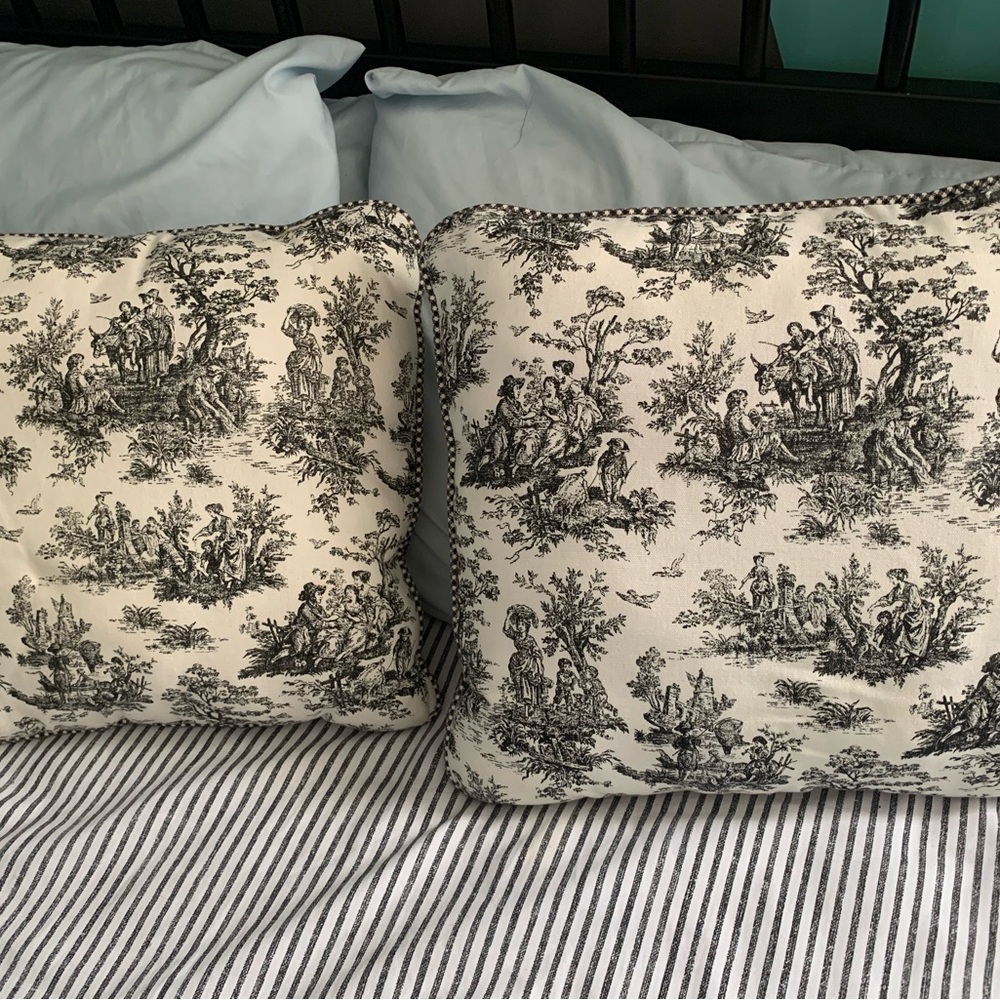 Vintage Toile set of 2 pillows